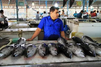 بهبود قدرت بینایی با مصرف روغن ماهی