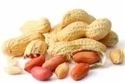  آلرژی به بادام زمینی چه زمانی بیشتر است؟