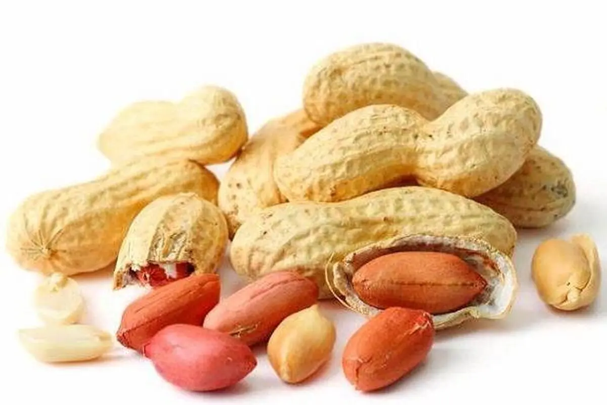  آلرژی به بادام زمینی چه زمانی بیشتر است؟