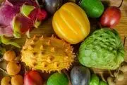 ممنوعیت واردات برخی میوه‌ها مجوزی برای قاچاق است
