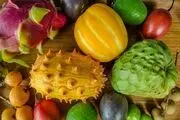 ممنوعیت واردات برخی میوه‌ها مجوزی برای قاچاق است
