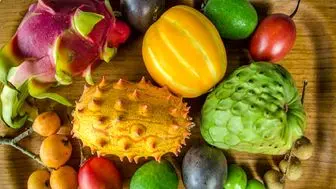 ممنوعیت واردات برخی میوه‌ها مجوزی برای قاچاق است
