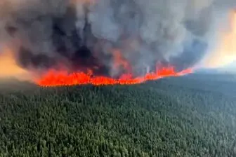 چه کسی میلیون ها هکتار جنگل را در کانادا سوزاند؟