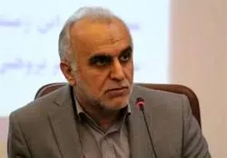  وزیر اقتصاد: حفظ ارزش پول ملی، دفاع از هویت ایرانی است 