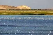  دریاچه ارومیه؛  افزایش تراز ۲۶ سانتی‌متری در ۵ ماه
