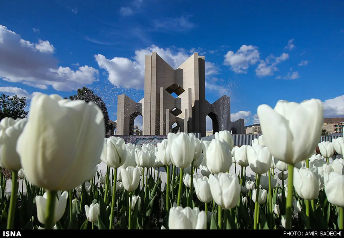 
سمفونی رنگ و گل در شهر گلریز