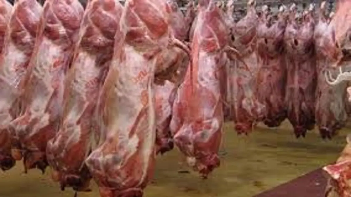 وضعیت بازار گوشت چگونه است؟
