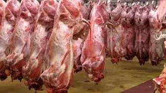وضعیت بازار گوشت چگونه است؟
