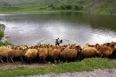 عشایر شاهسون