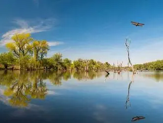 n00141772-r-b-000