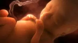 شناسایی ۳۵۰۰ اختلال ژنتیکی جنین