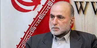 اظهارات مدیر کل آژانس درباره موضوع هسته ای ایران سیاسی است