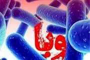 آخرین وضعیت بیماری «وبا» در کشور