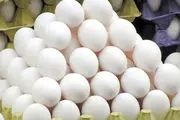 قیمت تخممرغ درب مرغداری اعلام شد