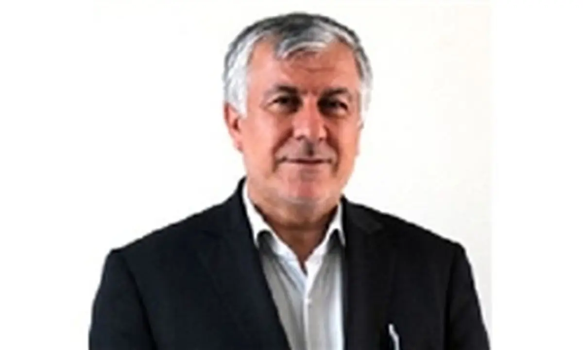 ادوار مختلف مجلس از پیوستگی لازم در زمینه قانونگذاری برخوردار نبودهاند