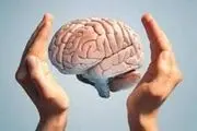  خوراکی مغزی برای تقویت مغز و حافظه 