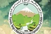 کشت و توسعه گیاهان دارویی در استان زنجان