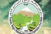 کشت و توسعه گیاهان دارویی در استان زنجان