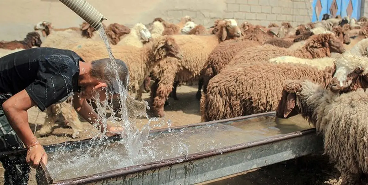 آبرسانی به روستاهای غیزانیه براساس نوبتبندی