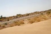 اعتبار مورد نیاز ۵۰۰ هزار هتکار بیابان زدایی