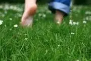 خواص درمانی پیاده‌روی با پای برهنه بر روی چمن چیست؟