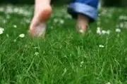 زیباترین زمین چمن دنیا!/ عکس