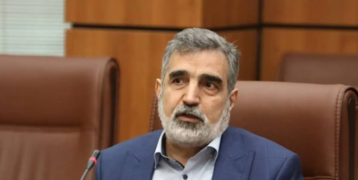 کمالوندی: دنبال ساخت سلاح هسته‌ای نیستیم
