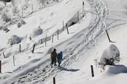 بارش برف در ارتفاعات چالوس/ گزارش تصویری