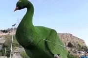 طاووس دروازه قرآن بازگشت