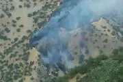 ادامه حریق در جنگل‌ها و مراتع ثلاث