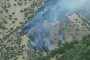 ادامه حریق در جنگل‌ها و مراتع ثلاث