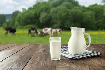 کاهش شدید سرانه مصرف شیر با افزایش قیمت