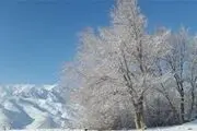برف شهمیرزاد را سپید پوش کرد+ ویدئو