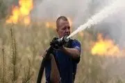 روسیا تسعى لاخماد حرائق غابات 