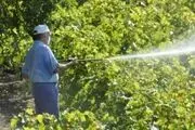 خدمات سمپاشی 