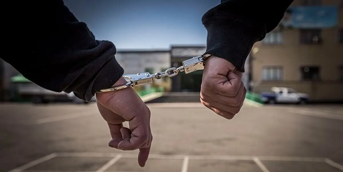 دستگیری ۷۷۰ سارق پایتخت
