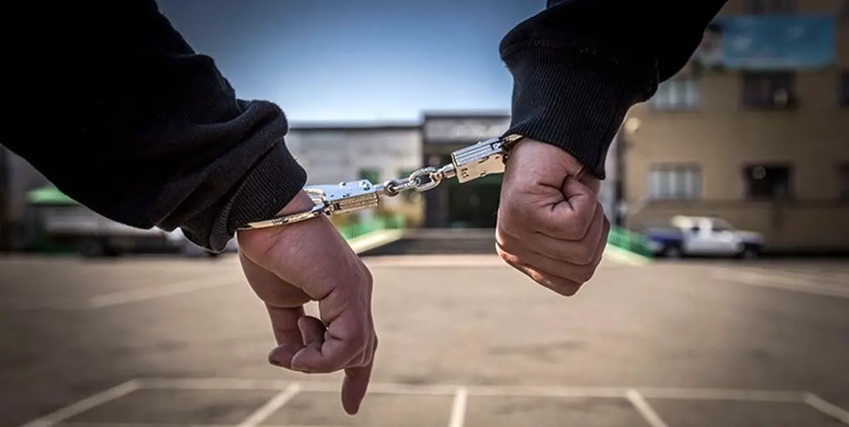دستگیری ۷۷۰ سارق پایتخت