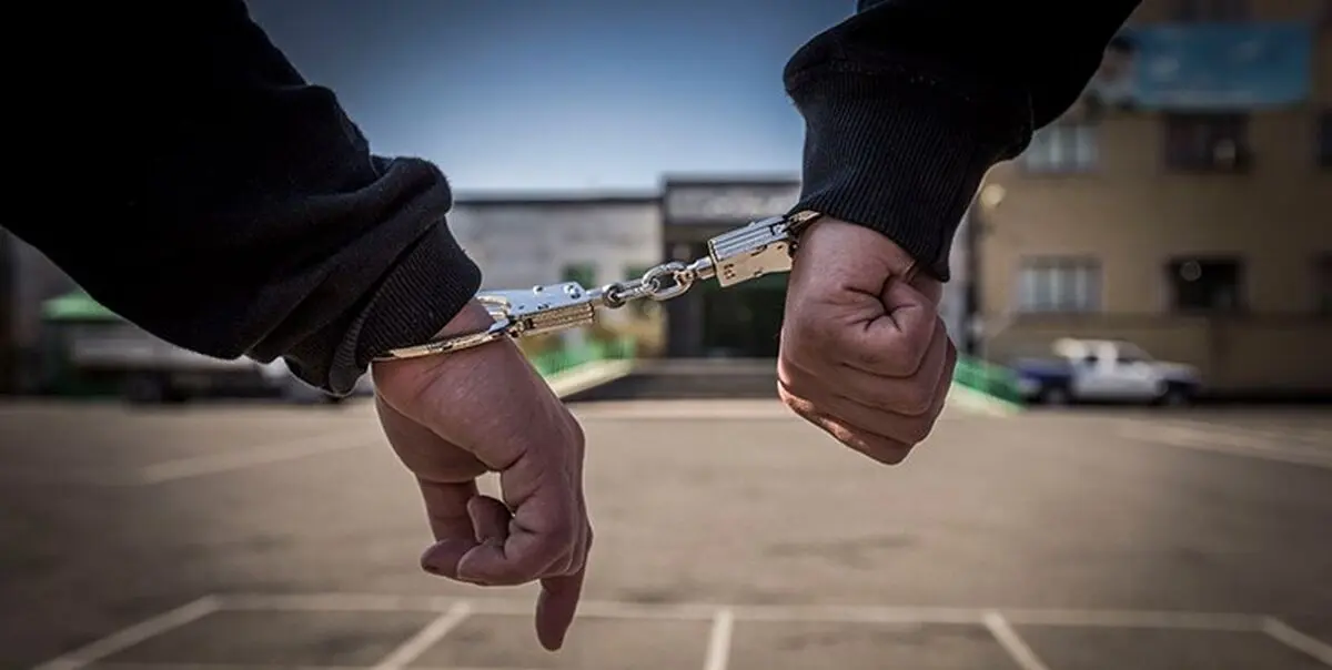 دستگیری ۷۷۰ سارق پایتخت
