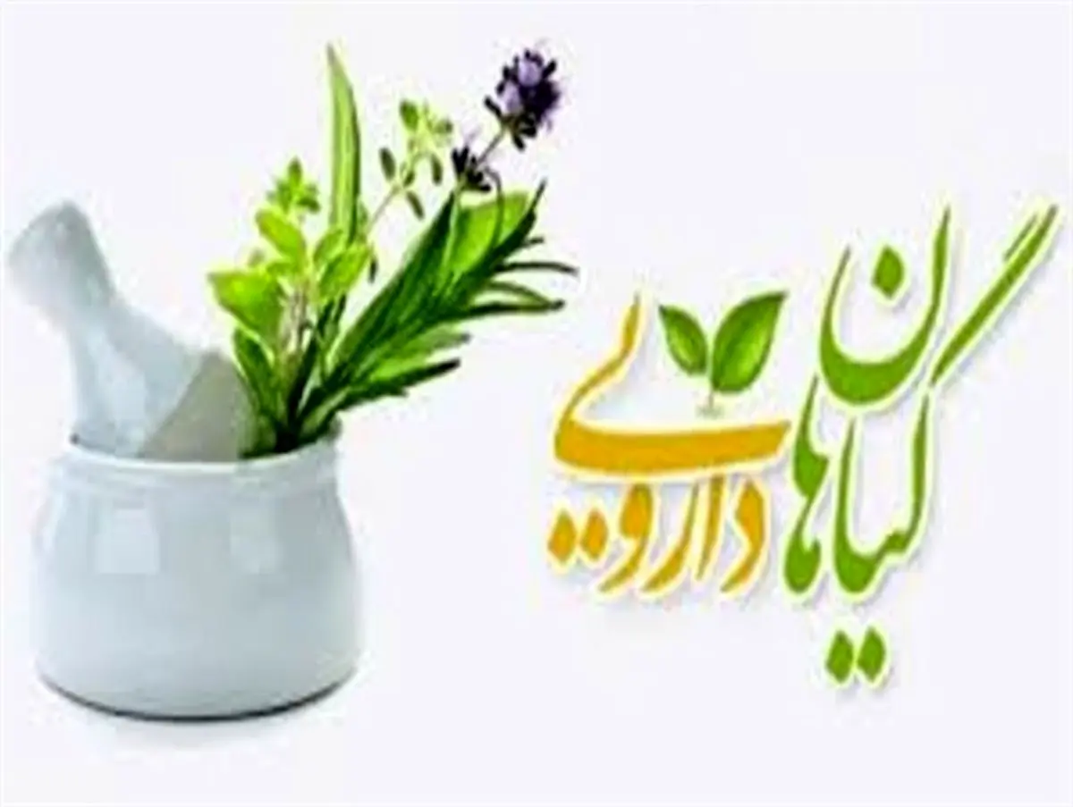 استفاده از داروهای گیاهی آری یا نه؟