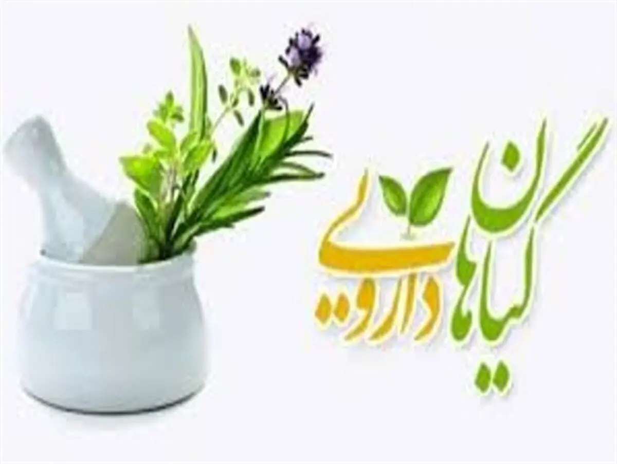 استفاده از داروهای گیاهی آری یا نه؟
