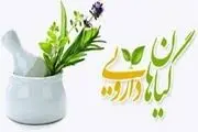 استفاده از داروهای گیاهی آری یا نه؟