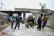  خدمات بسیج سازندگی در روستاهای مازندران/ عکس
