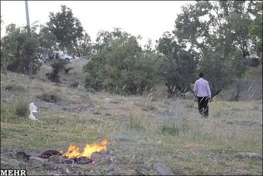 fire-nature