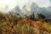 جزئیات جدید از آتش‌سوزی منطقه «گاچال» لرستان