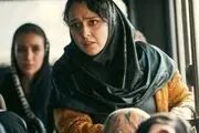 سازمان سینمایی: عوامل فیلم‌های قاچاق شده شکایتی ثبت نکرده‌اند!