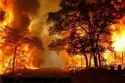 200 هکتار از باغات سیاهو در آتش سوخت
