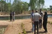 چشمه علی دامغان در آستانه تبدیل شدن به «باغ ایرانی»