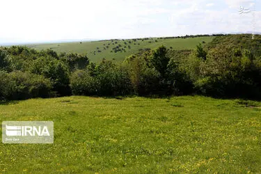 IY6Y3CnPAva3