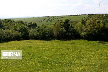 IY6Y3CnPAva3