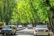 خاموشی ریسه‌های معابر پایتخت همزمان با شهادت امام جعفر صادق (ع)
